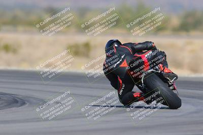 media/Dec-09-2023-SoCal Trackdays (Sat) [[76a8ac2686]]/Turn 14 Backside (1050am)/
